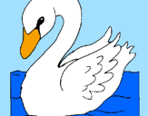 Coloring page Swan painted byjanelle