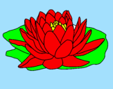 Coloring page Nymphaea painted byleticr2