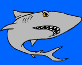 Coloring page Shark painted byjuan