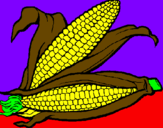 Coloring page Corncob painted byArmands