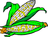 Coloring page Corncob painted byErin