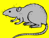 Coloring page Underground rat painted byrd