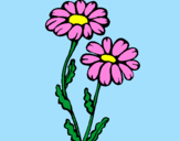 Coloring page Daisies painted bybeth