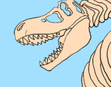 Coloring page Tyrannosaurus Rex skeleton painted by grace  and  nate