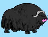 Coloring page Bison painted bypedro