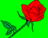 Coloring page Rose painted bykyla may