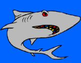 Coloring page Shark painted by grace  and  nate