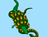 Coloring page Anaconda and caiman painted bypedro