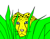 Coloring page Cheetah painted byfdlhmkdgld,m