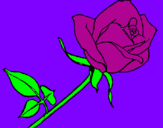 Coloring page Rose painted byAriana $