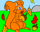 Coloring page Squirrel painted bymorgan miller