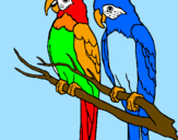 Coloring page Parrots painted bypedro