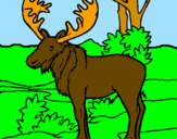 Coloring page Moose painted bymorgan miller
