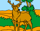 Coloring page Adult deer painted bymorgan miller