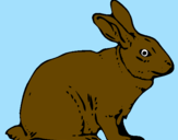 Coloring page Hare painted bypedro