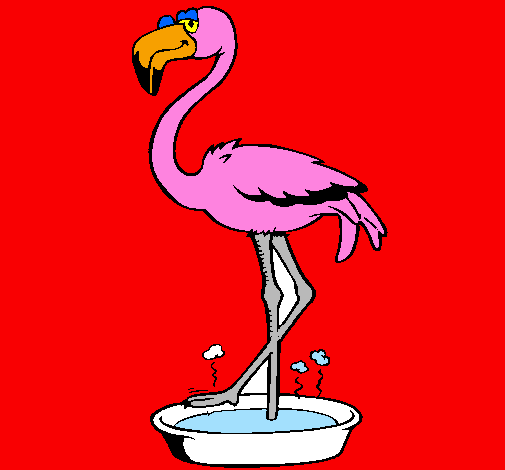 Flamingo with soaking feet 