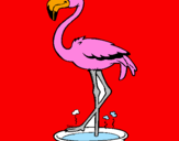 Coloring page Flamingo with soaking feet  painted byArmands