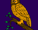 Coloring page Barn owl painted byAriana $