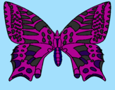 Coloring page Butterfly 5 painted byEMELI