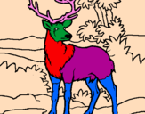 Coloring page Adult deer painted bya-l,juhi l-koiiok-iujjjjh