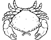 Coloring page Large crab painted bymilo