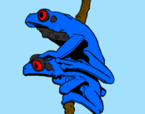 Coloring page Frogs painted bymilo