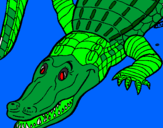 Coloring page Crocodile painted bysavannah