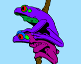 Coloring page Frogs painted bymilo