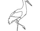 Coloring page Stork  painted bypedro