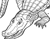 Coloring page Crocodile painted bypedro