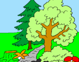 Coloring page Forest painted by marijana