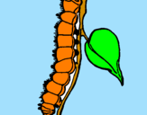 Coloring page Caterpillar painted byizan