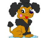 Coloring page Poodle painted byEmina