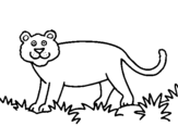 Coloring page Panthera painted bypedro