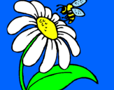 Coloring page Daisy with bee painted by marijana