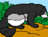 Coloring page Large badger painted byXavier