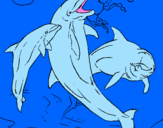 Coloring page Dolphins playing painted byXavier