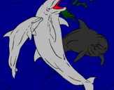Coloring page Dolphins playing painted bymaximus