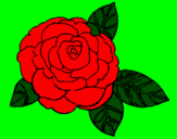 Coloring page Rose painted byemanu8ele