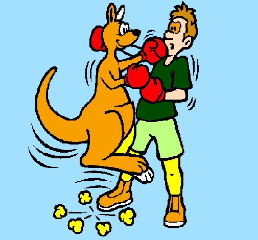 Boxer kangaroo