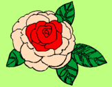 Coloring page Rose painted bySophie-May