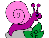 Coloring page Snail painted by,holohhooh
