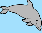 Coloring page Happy dolphin painted bymathias