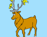 Coloring page Deer with birds painted bya