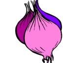 Coloring page onion painted by,holohhooh