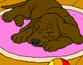 Coloring page Sleeping dog painted byGabria