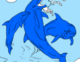 Coloring page Dolphins playing painted bygrrg00
