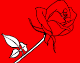 Coloring page Rose painted byArmands