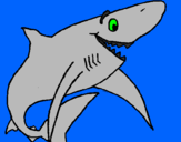 Coloring page Happy shark painted byg