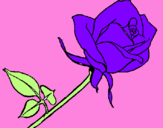 Coloring page Rose painted bylarissa 